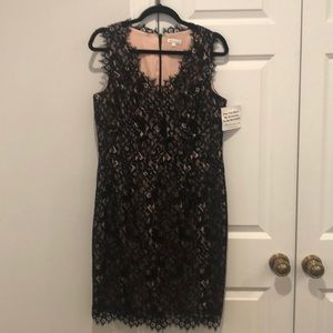Shoshanna Lace Dress